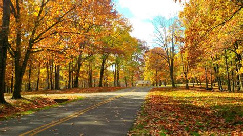 6 Best Fall Foliage Drives in Western Pennsylvania