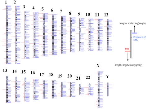 Kelly's Map Catalog: Human Genome Map