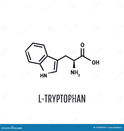 Tryptophan, Skeletal Formula And Molecular Structure Cartoon Vector ...