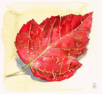 Red Autumn Leaf - Watercolours by GeeMassamArt on DeviantArt