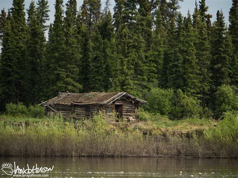 Arctic National Wildlife Refuge Archives - Ian A Johnson : Life ...