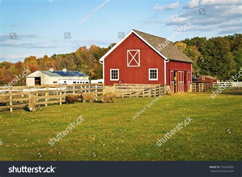 Red Barn Farm Animals This Scenic Stock Photo 155533835 | Shutterstock