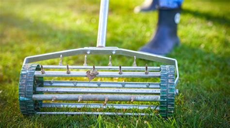 How and When to Aerate Your Soil: Improve Compacted Soil