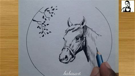 Easy Horse Head Drawings In Pencil