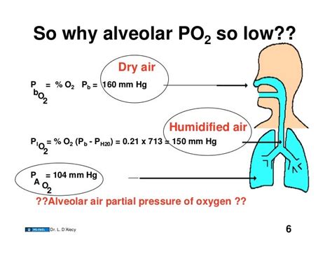 11.17.08(b): Alveolar Ventilation II