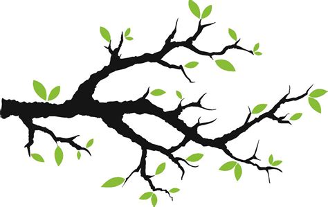 Tree Branch Images - ClipArt Best