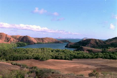 Gambar: Pulau Komodo