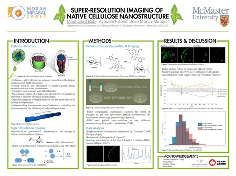 How to Make a Scientific Poster [+ Examples]