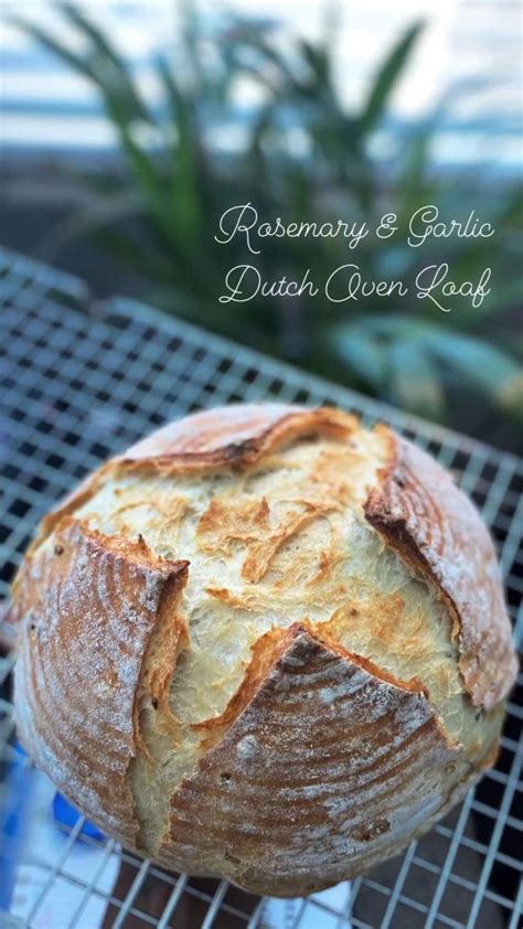 Rosemary & Garlic Dutch Oven Bread | Dutch oven recipes, Bread machine ...