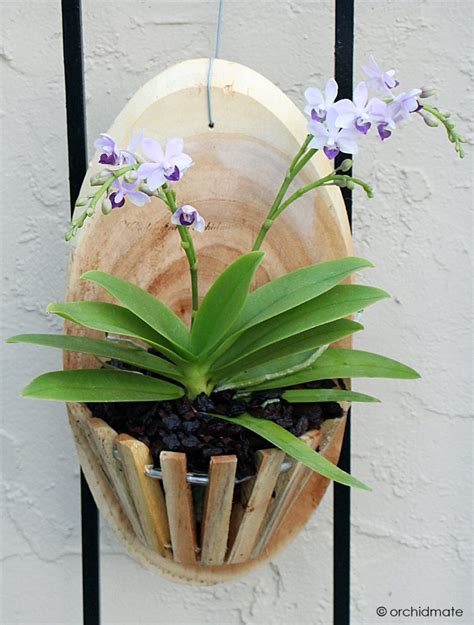 Wood baskets | Orchidmate Orchid Supplies