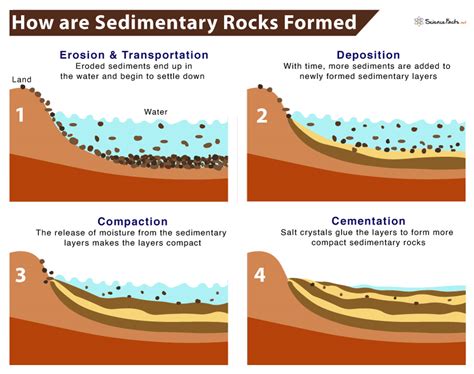 Sedimentary Rocks - Definition, Formation, Types, & Examples