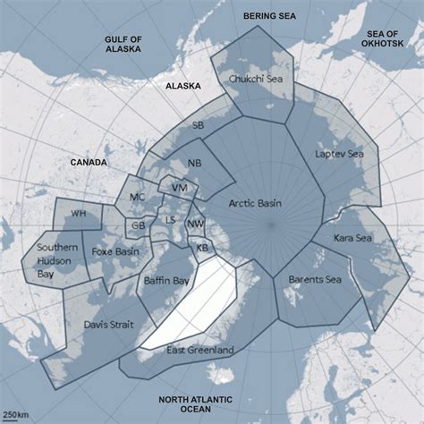 Global polar bear population size is about 26,000 (20,000-32,000 ...