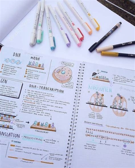 Must Have Stationery Supplies For Note Taking - StudyStuff