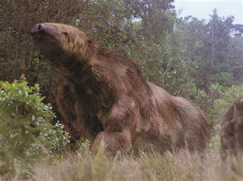 Giant Ground Sloth (Megatherium) Facts, Habitat, Diet, Fossils, Pictures