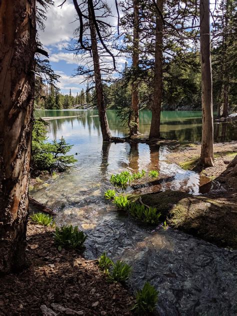 Great Basin National Park » Nature-P0rn