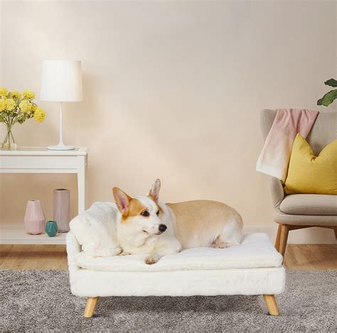 Small Sofa for Dog & Pet - Corg Shop