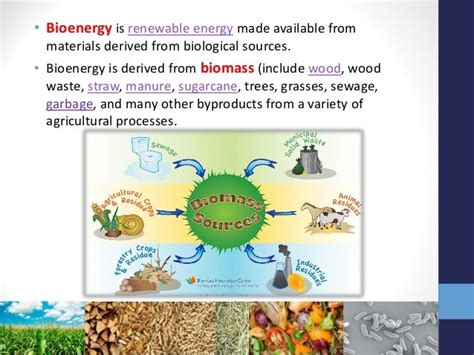 Bioenergy