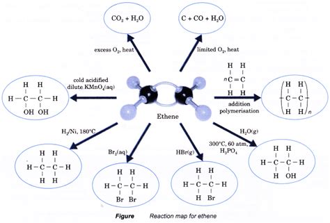 What is an alkene in chemistry? - A Plus Topper