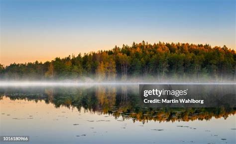 70,629 Autumn Fog Stock Photos, High-Res Pictures, and Images - Getty ...