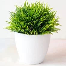 Best value Indoor Grass Plants – Great deals on Indoor Grass Plants ...