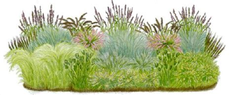 Ornamental grass landscape, Backyard garden layout, Grasses landscaping