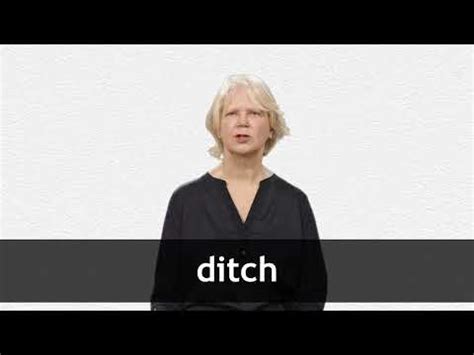 DITCH definition and meaning | Collins English Dictionary