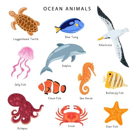 Premium Vector | Set of ocean animal illustration Ocean animals poster ...