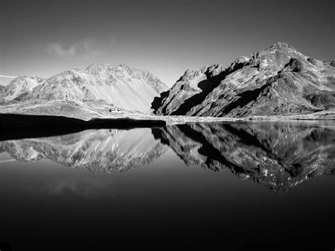 Angelus Hut Reflections - Little Robin