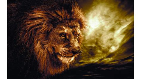 Angry Lion Laptop Wallpapers - Top Free Angry Lion Laptop Backgrounds ...