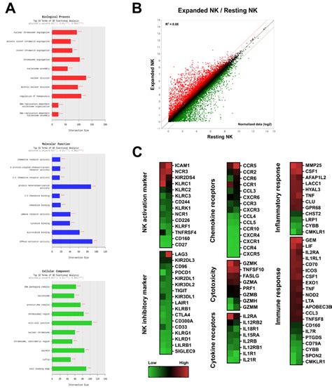 Gene expression signatures of resting and ex vivo-expanded NK cells ...