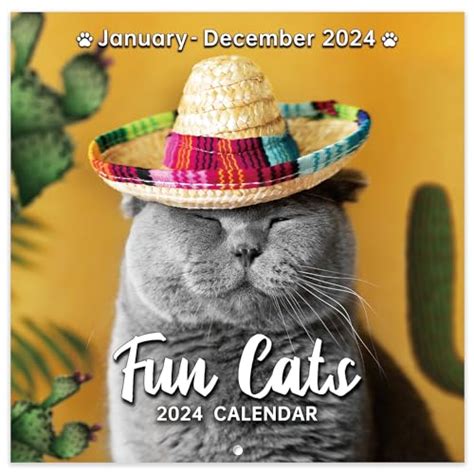 Snapklik.com : 2024 Wall Calendar - Funny Cat Calendar 2024, Jan 2024 ...