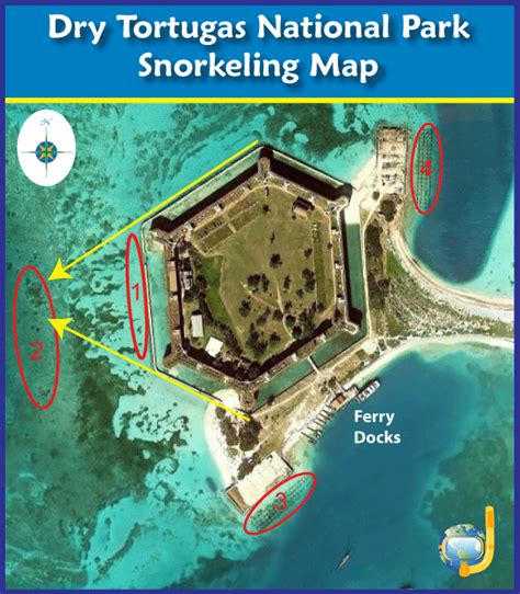 Snorkeling Dry Tortugas National Park - Best Near Key West