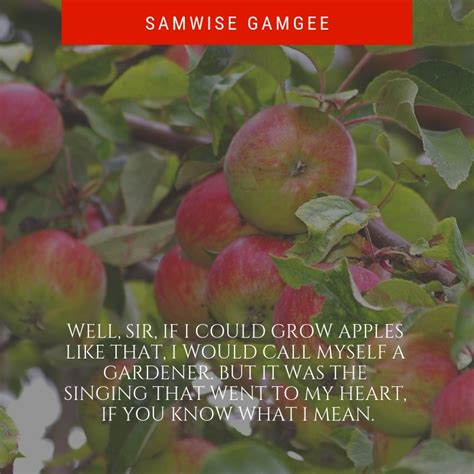 Samwise Gamgee Quotes | Text & Image Quotes | QuoteReel