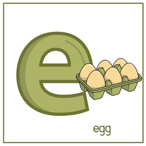 30+ Egg Carton On White Background Stock Illustrations, Royalty-Free ...