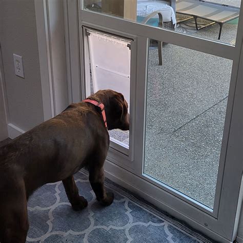 Sliding Glass Door with Dog Door Built in | "In the Glass" | GlassMan, Inc.