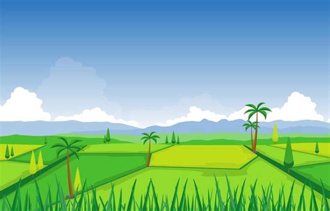 Rice Paddy Field Ready for Harvest Illustration 2043024 Vector Art at ...