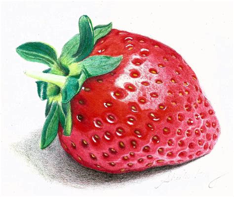 Strawberry Pencil Drawing at GetDrawings | Free download