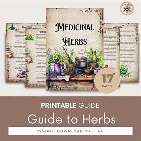 Printable Herbal Medicine Guide: A4 PDF on Medicinal Herbs, Herbal ...