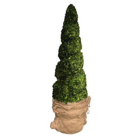 Preserved Boxwood Spiral Topiary - 75" | Mills Floral Company