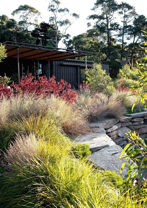 Backyard Australian Native Garden Design Ideas – NBKomputer