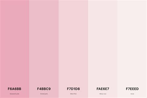 25+ Best Pink Color Palettes with Names and Hex Codes – CreativeBooster