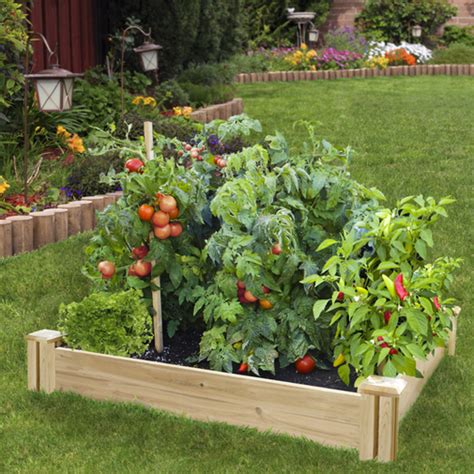 10 Innovative Food Gardens Ideas