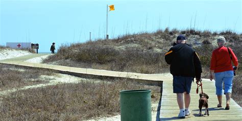 Huntington Beach State Park - Myrtle Beach Nature Attractions