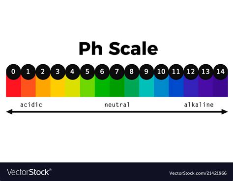 Ph scale chart Royalty Free Vector Image - VectorStock