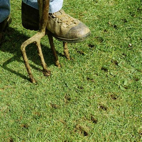 What It Is Lawn Aeration? Why, When and How It's Done