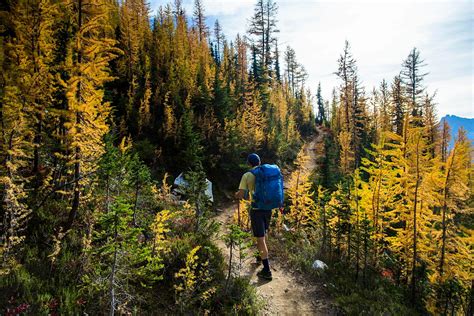 The USA's most famous hiking trails are asking people to stay away ...