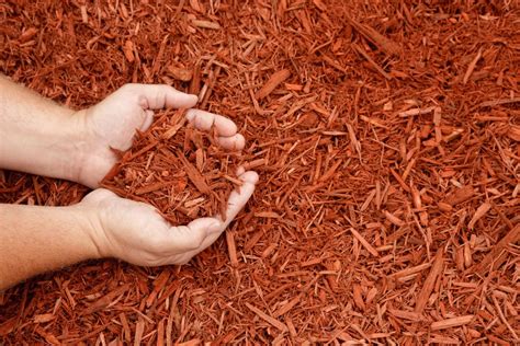 What You Need To Know About Mulching - GreenImage Landscape & Design