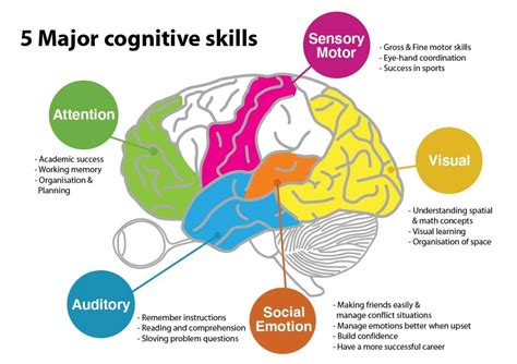 Cognitive Map Diagram