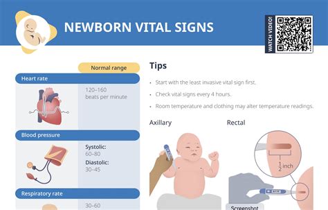 Newborn Vital Signs [+ Free Cheat Sheet] | Lecturio Nursing