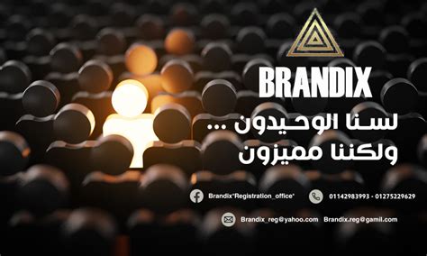 BRANDIX on Behance